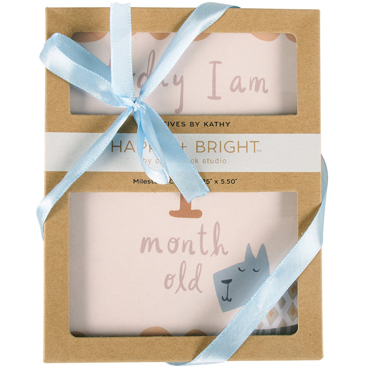Baby Milestone Cards