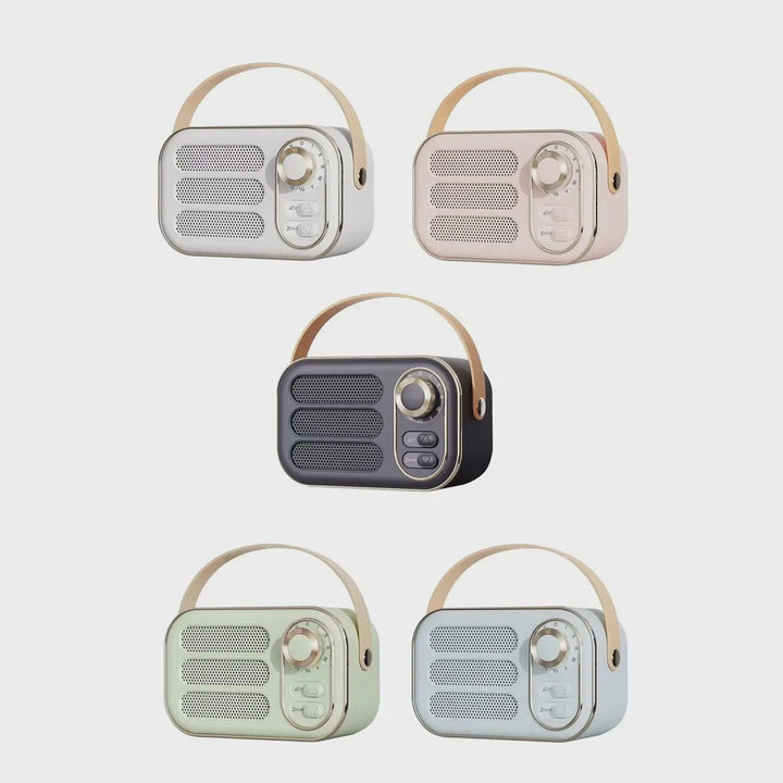 Blue Tooth Speaker
