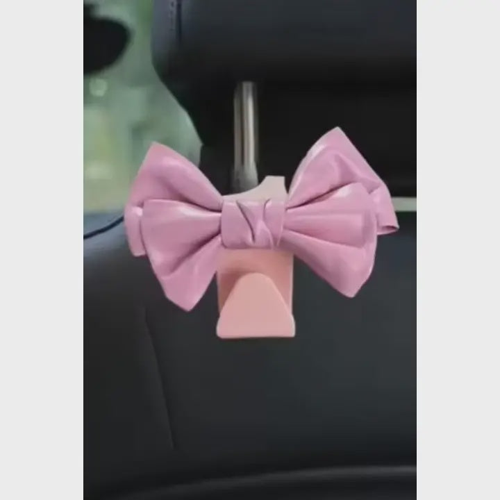Storage Hook for Car